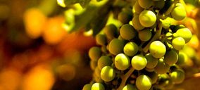 Los primeros blancos de Ribera del Duero llegan al mercado