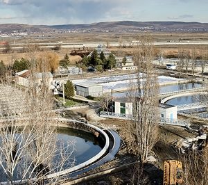 TPF absorbe a dos de sus últimas adquisiciones