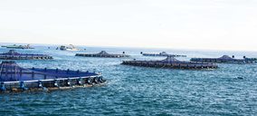 Andromeda Seafood entra en una nueva era con las adquisiciones de Nireus y Selonda