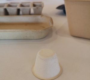 Se buscan inversores para industrializar envases de paja de arroz y sarmientos