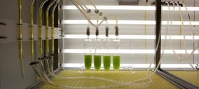 AlgaEnergy, pistoletazo de salida a su entrada en la industria alimentaria