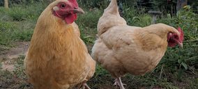 Así es Future Farming, el negocio de agricultura sostenible del fondo Atitlan