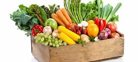 Envases para frutas y hortalizas: ¿cómo conjugar sostenibilidad y conveniencia?