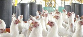 La cooperativa Guadavi, nueva víctima del sector avícola