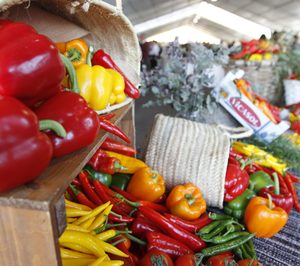 Vicasol consolida en 2019 su apuesta por la producción ecológica