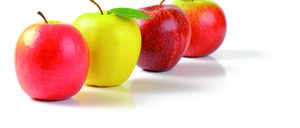 Informe 2020 del sector de Manzana en España