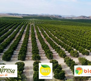 Fruxeresa y Frutas Naturales se integran en un grupo liderado por GPF Capital y Label Investments