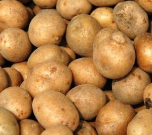 Desaparece un operador más de patata en España