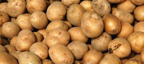 Desaparece un operador más de patata en España