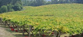 As Laxas continúa su plan de mejoras y prevé crecer un 13%