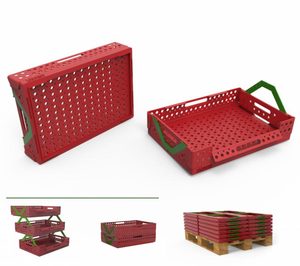 Una estudiante española obtiene un WorldStar Student Award