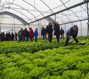 La experimentación con Agropaper de Smurfit Kappa e Intia arroja buenos resultados