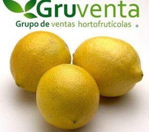 Gruventa solicita concurso voluntario de acreedores