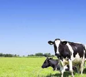 Capsa destina 14 M a medidas para garantizar la sostenibilidad