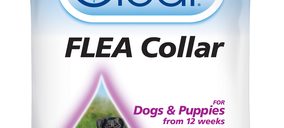 La continuidad de Bob Martin Spain está en el aire