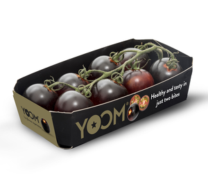 El tomate Yoom de Syngenta conquista Alemania