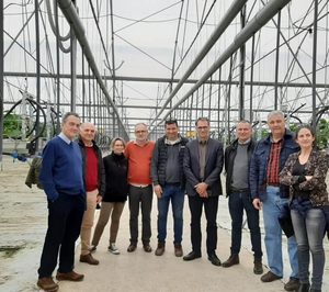 El cultivo de fresa se estabiliza en Europa