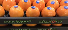 Las cooperativas de Carlet y Guadassuar crean una entidad de segundo grado