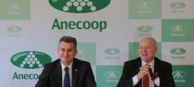 Anecoop cierra el ejercicio 2018/2019 con aumentos