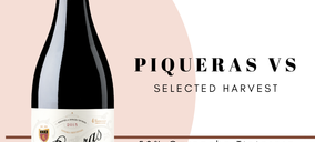 Exportación y calidad, claves del crecimiento de Bodegas Piqueras