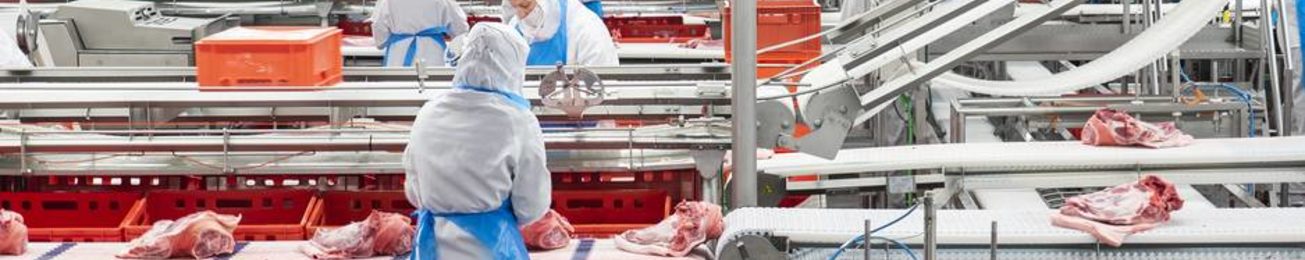 Informe 2020 del sector de carne de porcino
