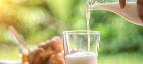 Leche de consumo: un básico con valor añadido nutricional en el momento actual