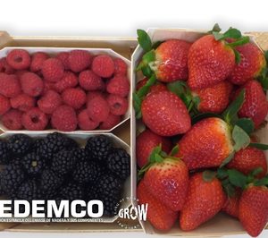 Las empresas de envases de madera siguen dando servicio al sector hortofrutícola