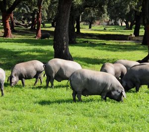 Se reclama el almacenamiento privado para ibérico y otros cárnicos vinculados a horeca