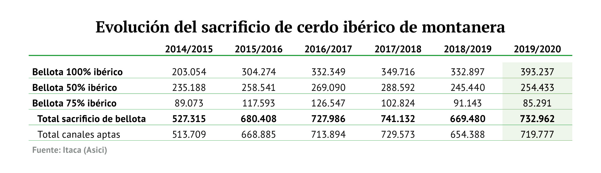 El sacrifico de cerdo ibérico aumentó un 5,2% en los siete primeros meses de campaña