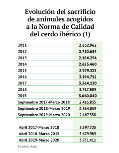 El sacrifico de cerdo ibérico aumentó un 5,2% en los siete primeros meses de campaña
