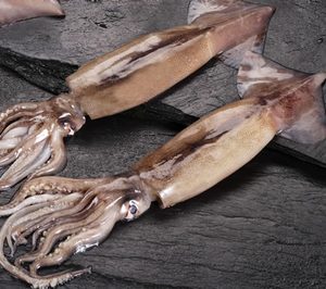 Pesciro marca su séptimo ejercicio de subida y alcanza récord en volumen