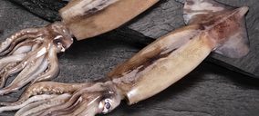 Pesciro marca su séptimo ejercicio de subida y alcanza récord en volumen