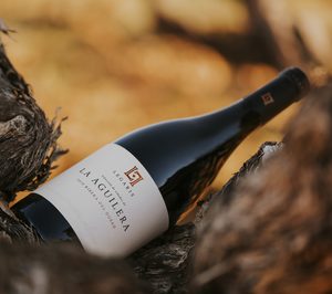 Codorníu compra viñedos ecológicos en Ribera del Duero y amplía la colección Legaris Vinos de Pueblo