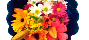 Supermercados Sanchez Romero y Lidl promocionan la venta de flores