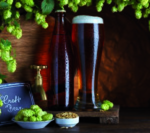 El sector de las cervezas artesanas aumentó su negocio hasta los 73 M en 2019
