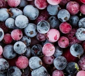 La especialista en fruta congelada La Cuerva traslada la producción a su nueva planta