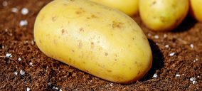 Javier Aydillo:“A pesar de la incertidumbre, Carsa tiene suficiente pulmón”