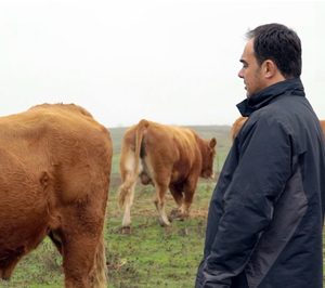 Carrefour refuerza su alianza con El Encinar de Humienta para potenciar la venta de añojo