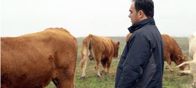 Carrefour refuerza su alianza con El Encinar de Humienta para potenciar la venta de añojo