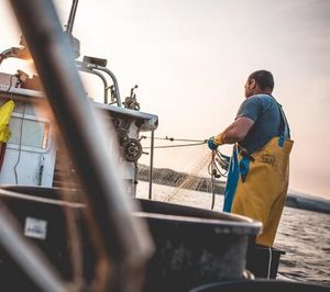 Carrefour compra un 35% más de pescado de lonjas