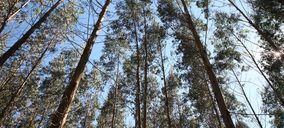 Aspapel actualiza la Memoria de Sostenibilidad del Papel