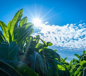 Beneo amplía su catálogo con nuevos ingredientes orgánicos