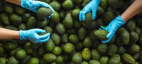 Axarfruit continúa adecuando sus instalaciones