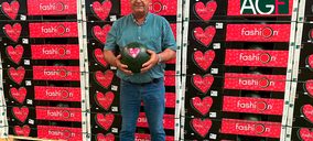 José Navarro Flores, nuevo presidente de Grupo AGF Fashion