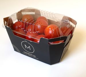 Looije lanza la marca ‘Minerva’ de tomate cherry para el segmento prémium