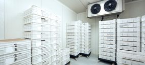 Frigoríficos El Retorno prevé abandonar el concurso de acreedores