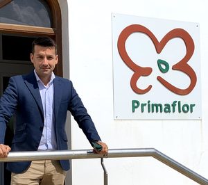 Primaflor apuesta por la profesionalización y refuerza la dirección TIC y financiera