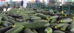 La Unión Corp arranca una campaña preparada con el máximo cuidado