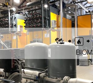 Quadpack estrena planta de biomasa