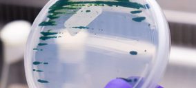 Unilever abre una nueva línea de I+D con la chlorella para potenciar su gama vegetal